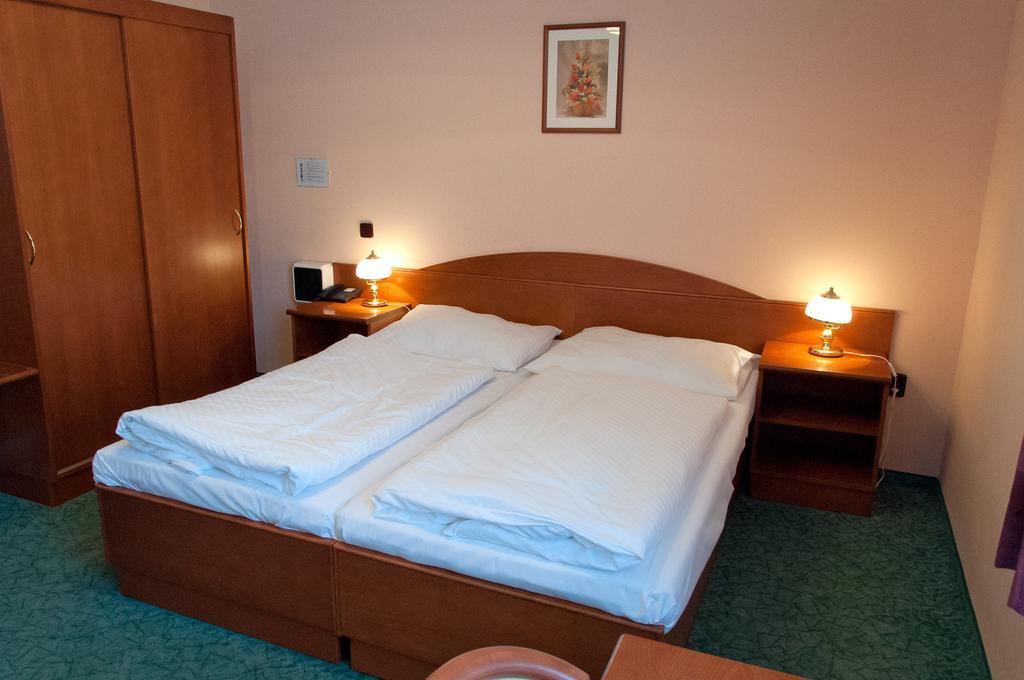 Penzion Harmonie Chodov (Karlovy Vary) Room photo