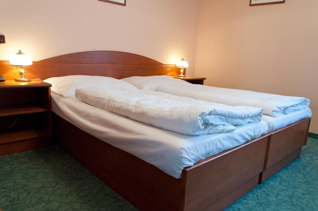 Penzion Harmonie Chodov (Karlovy Vary) Room photo